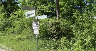 von_poll_real_estate_property_25118025_image_10