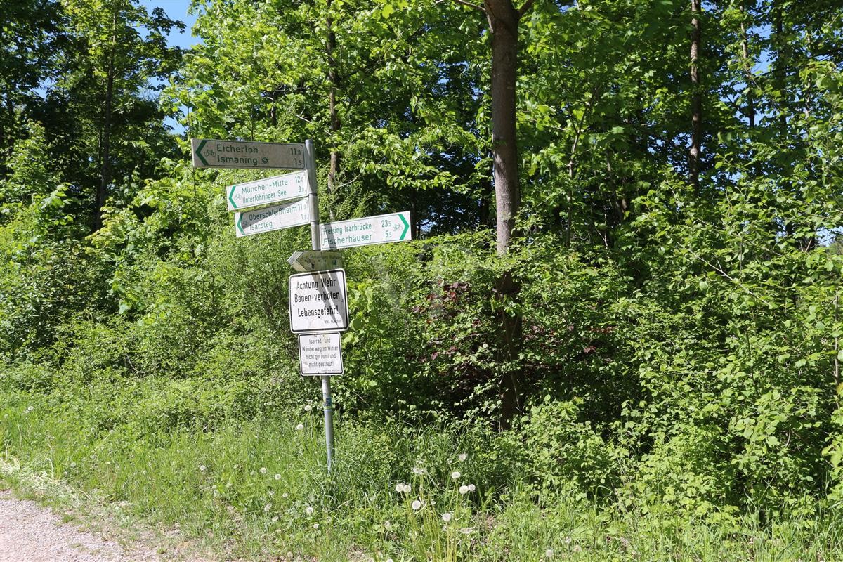 Isarauen