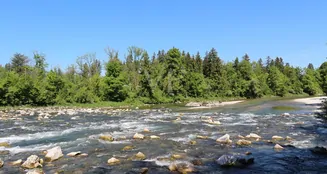 von_poll_real_estate_property_25118025_image_12