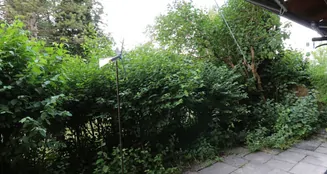 von_poll_real_estate_property_25118033_image_4