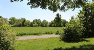 von_poll_real_estate_property_25118048_image_10