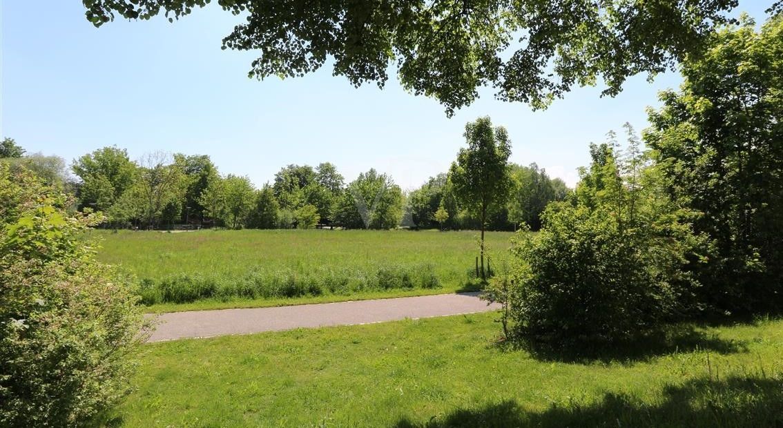 Bürgerpark in direkter Umgebung