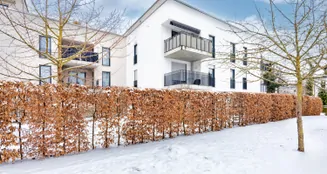 von_poll_real_estate_property_25118060_image_10