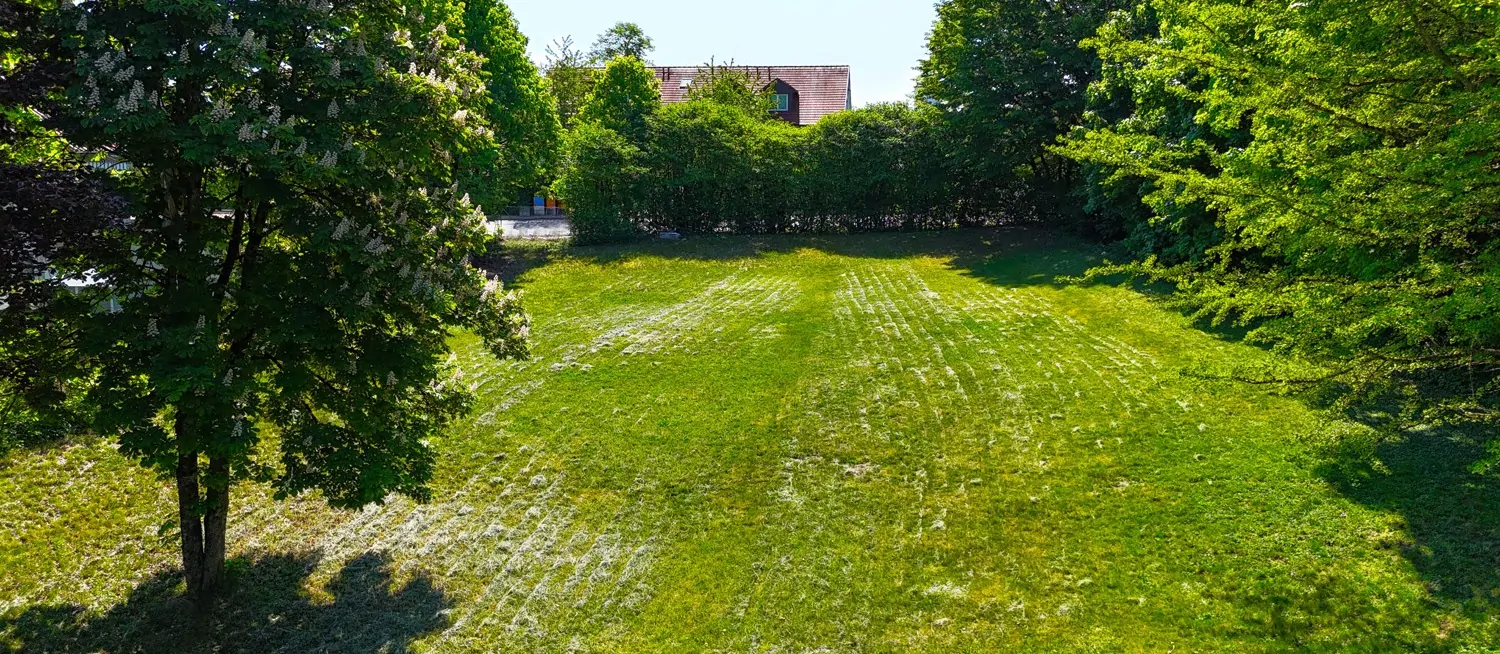 Schön eingewachsener Garten