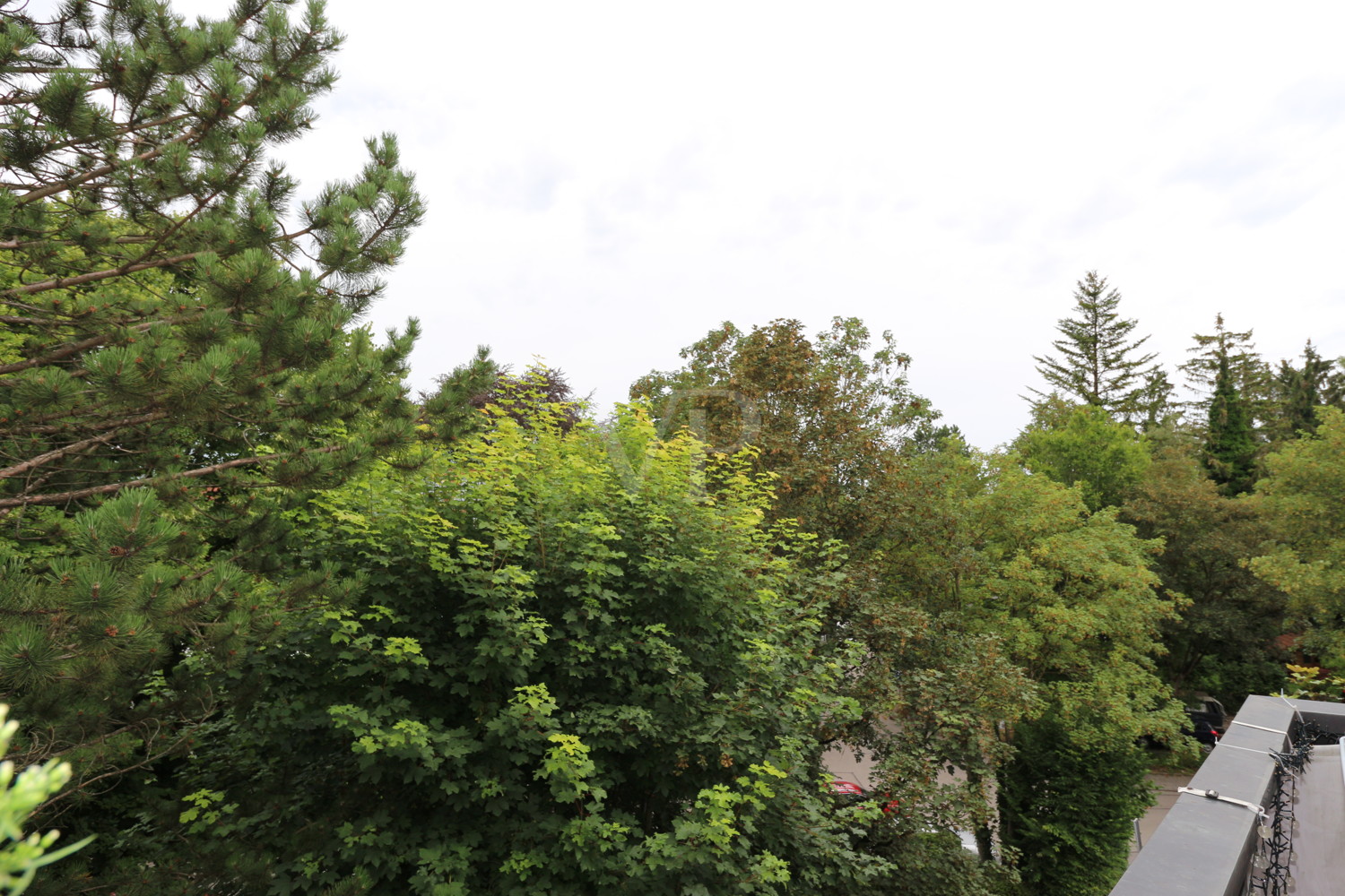 Westbalkon Blick ins Grüne