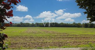 von_poll_real_estate_property_24118073_image_17
