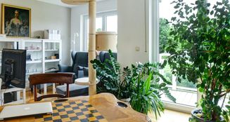 von_poll_real_estate_property_24118073_image_10