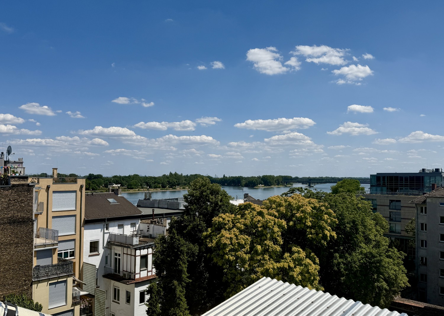 ... mit Blick auf den Rhein