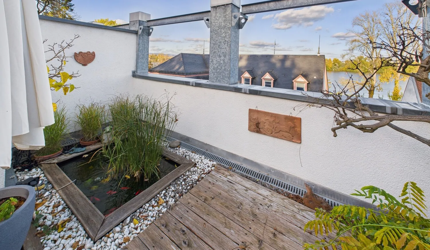 Teich und Rheinblick