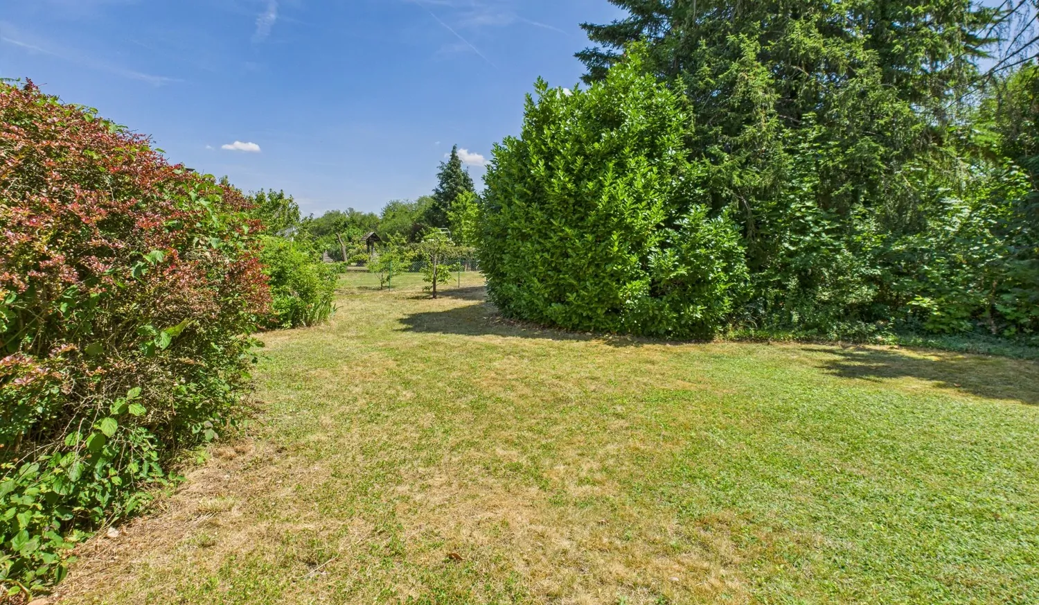 mit altem Baumbestand