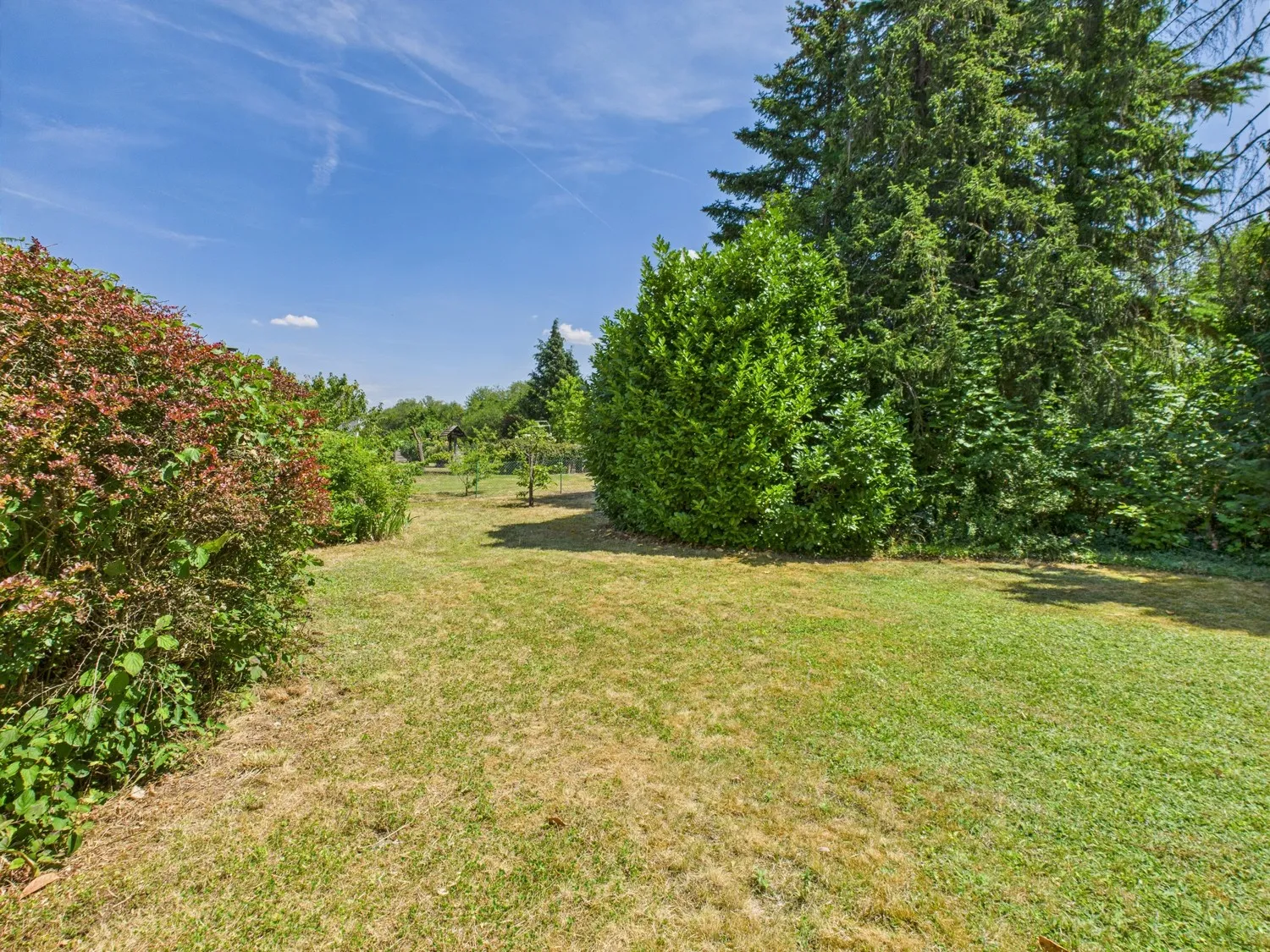 mit altem Baumbestand