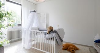 von_poll_real_estate_property_25017018_image_8