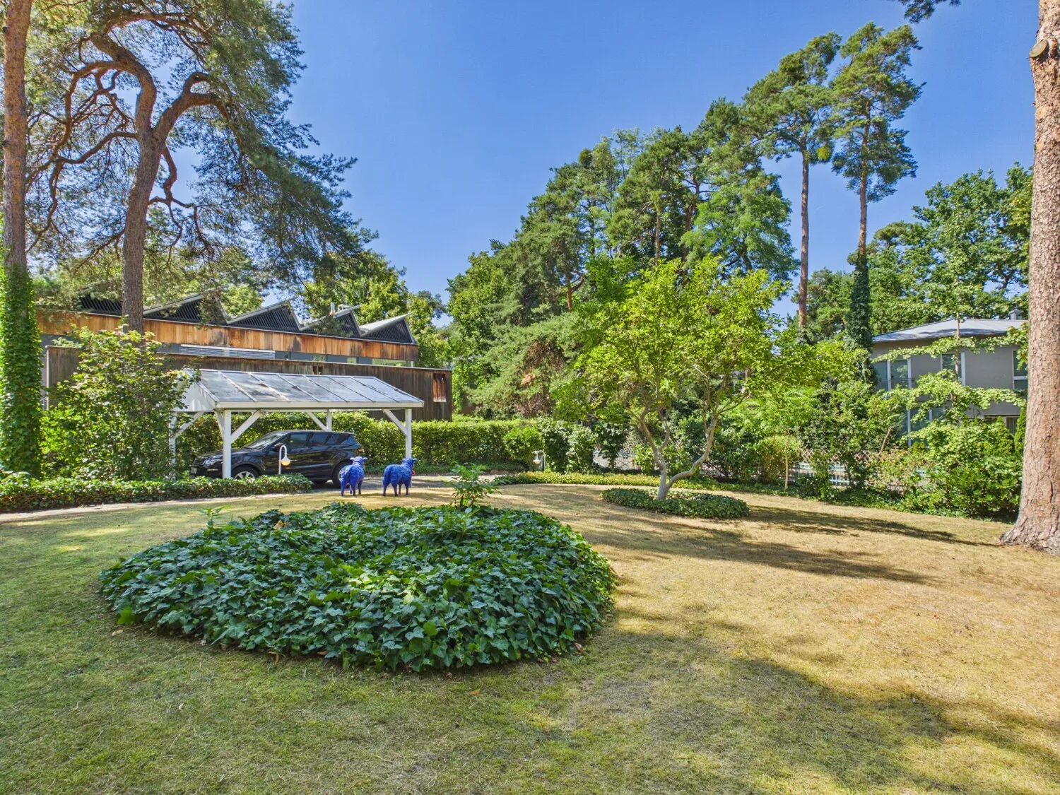 Vorgarten mit Carport