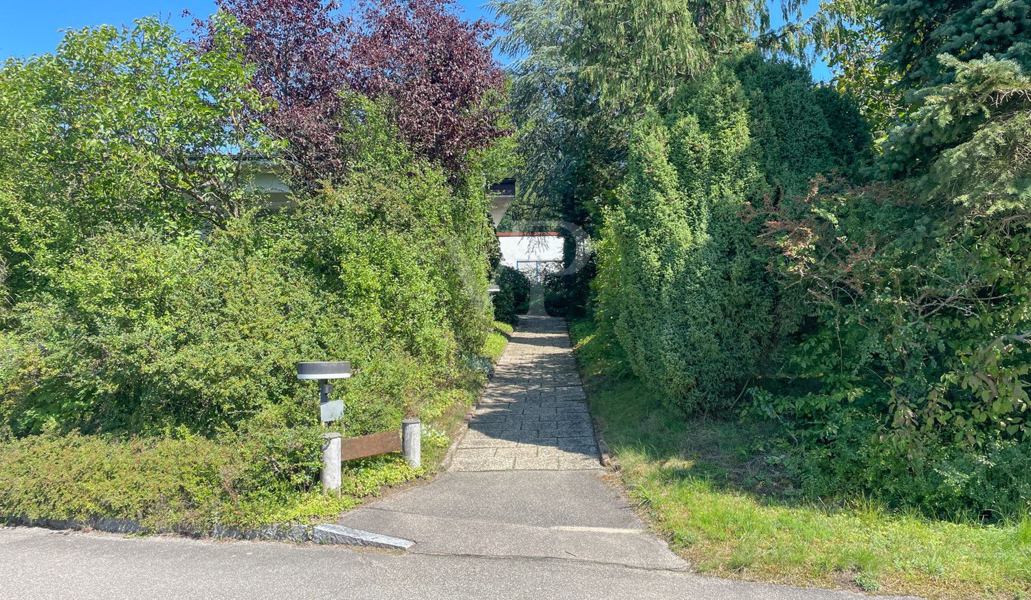 Wunderschön zugewachsener Eingang