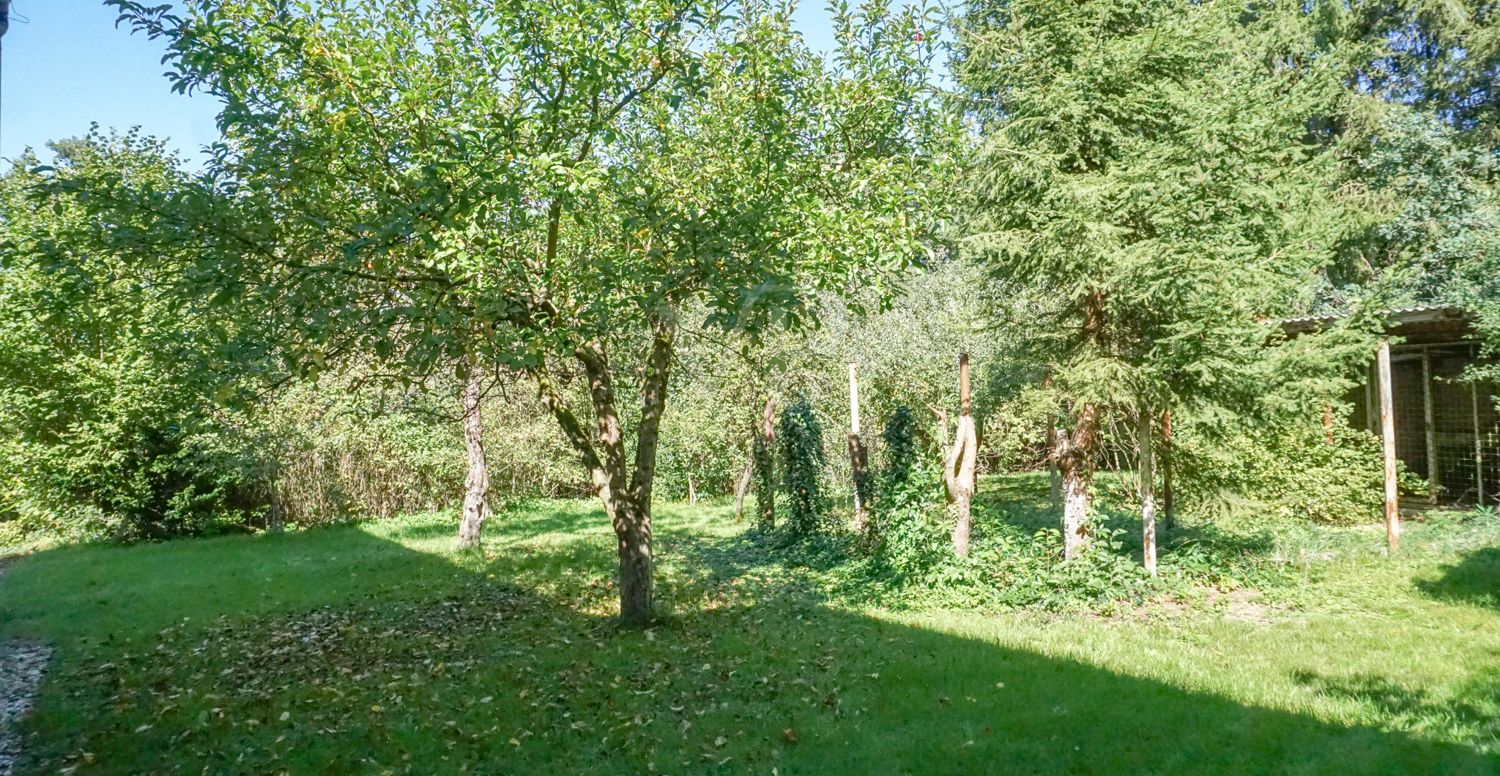 Großer Garten