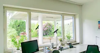 von_poll_real_estate_property_25230011_image_21