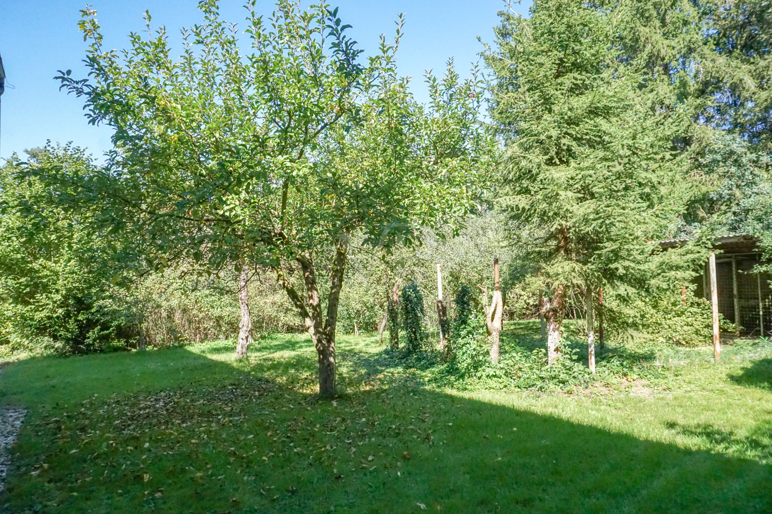 Großer Garten