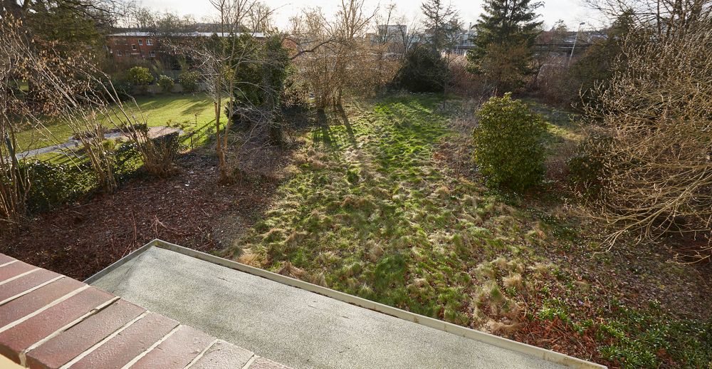 Blick in den Garten