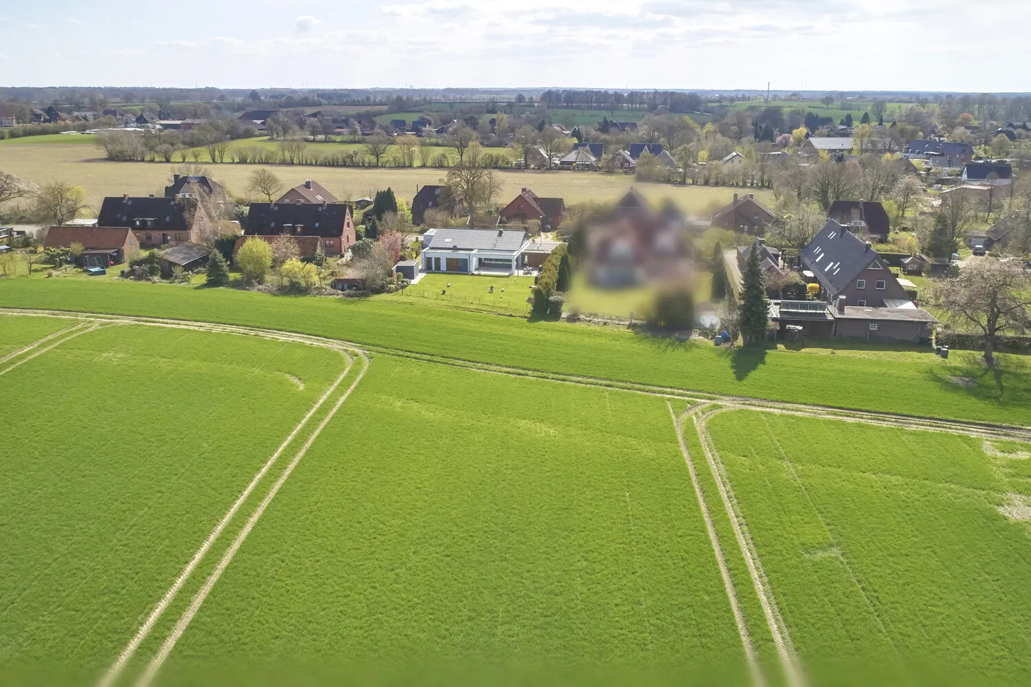 Grün so weit das Auge reicht
