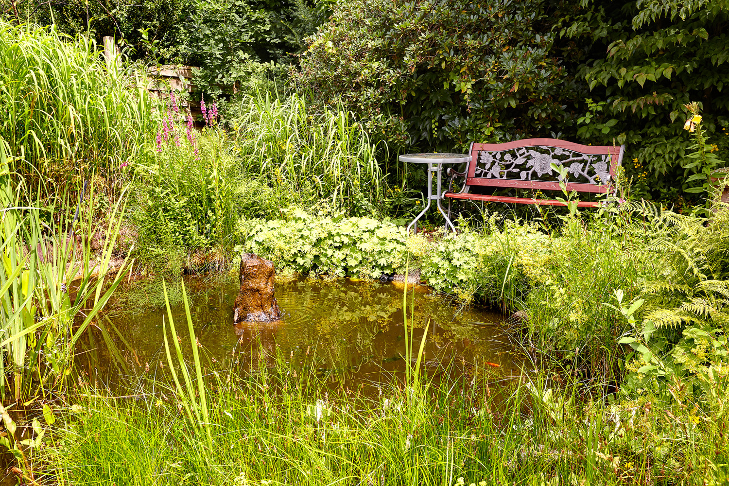 Rückzugsort am Gartenteich