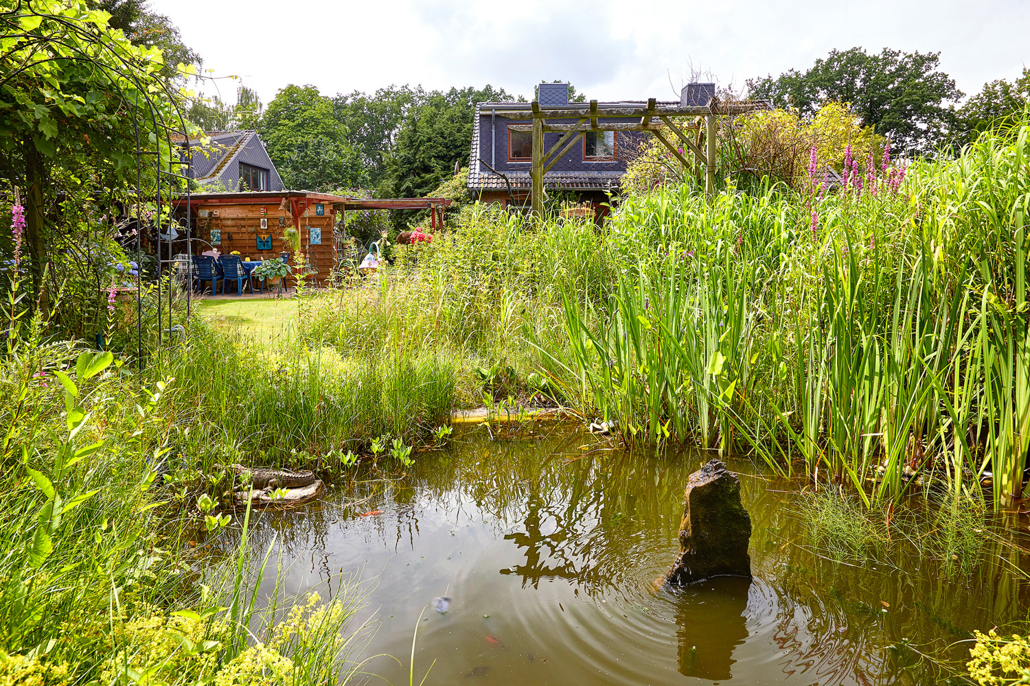 Gartenteich und Rückansicht