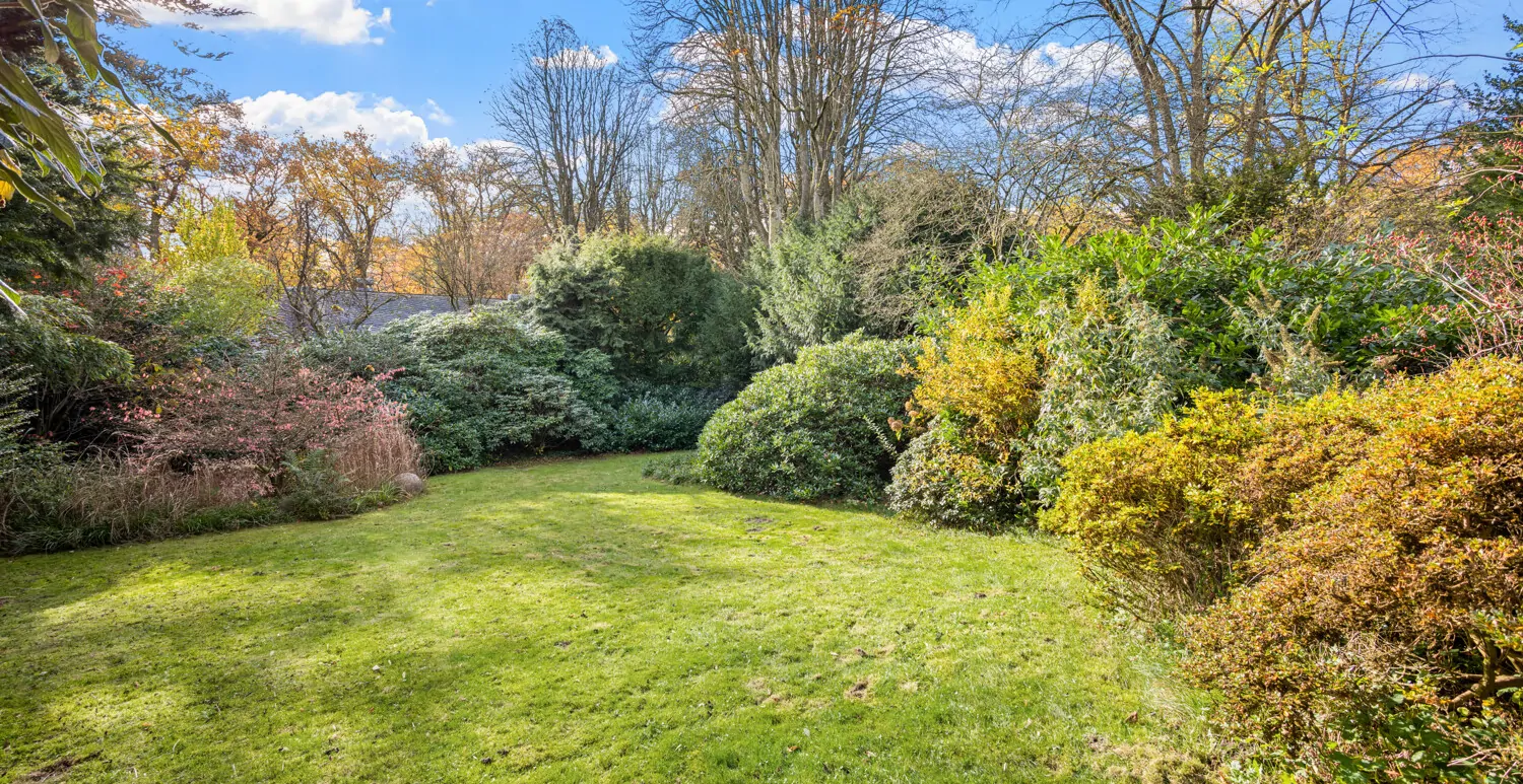 Alter Baumbestand und große Büsche