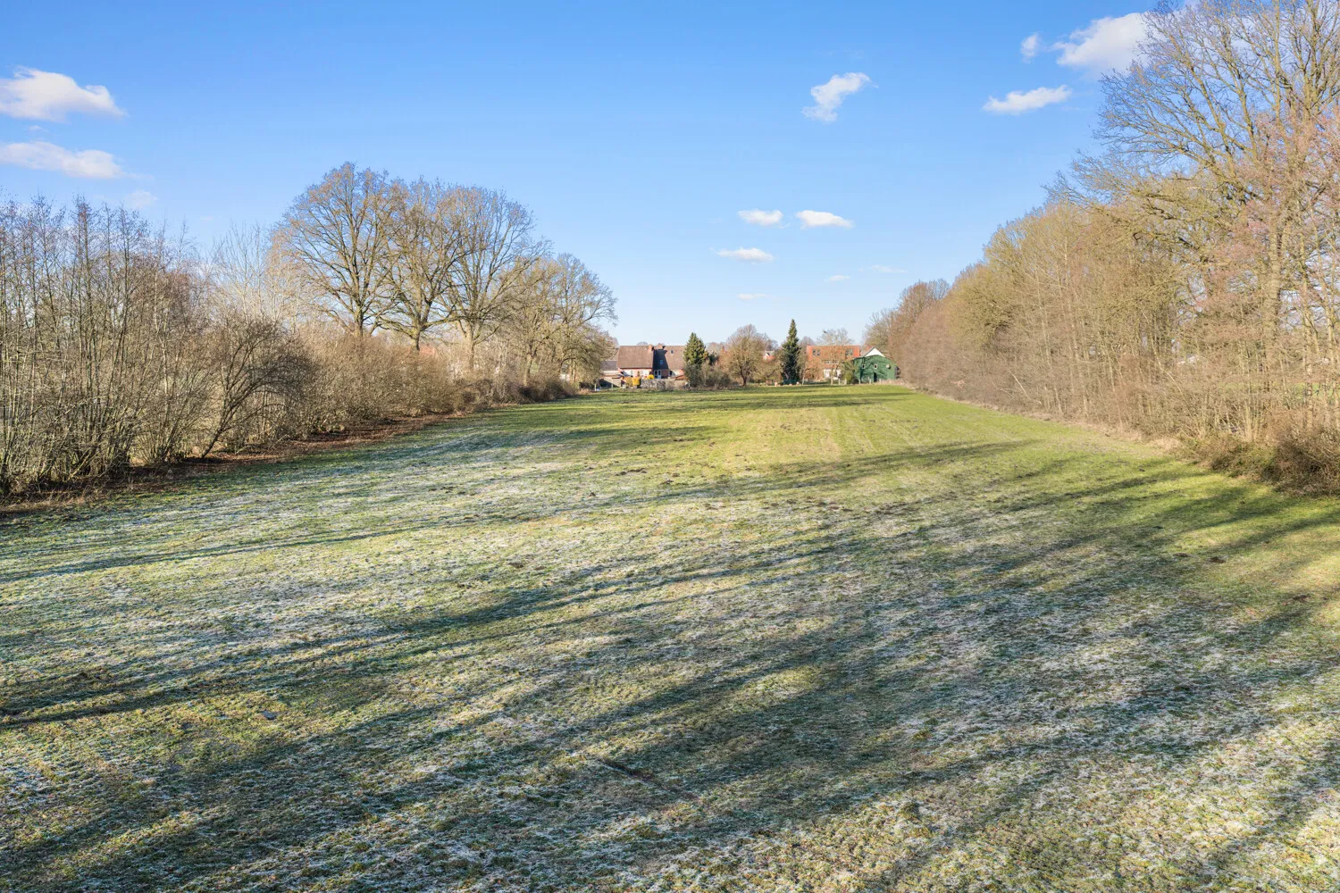 Wiese weit und breit