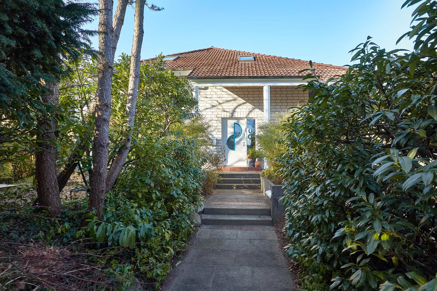 Immergrüner Sichtschutz zur Straße