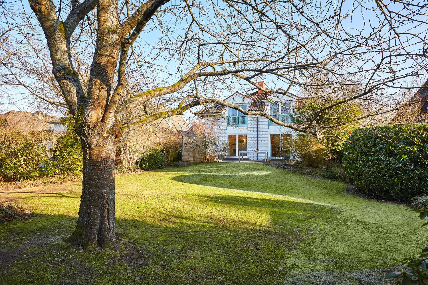 Pflegeleichter, sichtgeschützter Garten