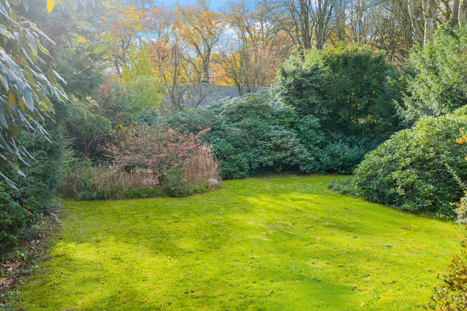 Wunderbar eingewachsenener Garten