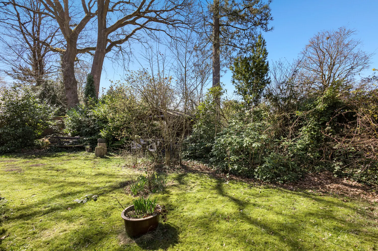 Garten mit viel Privatsphäre