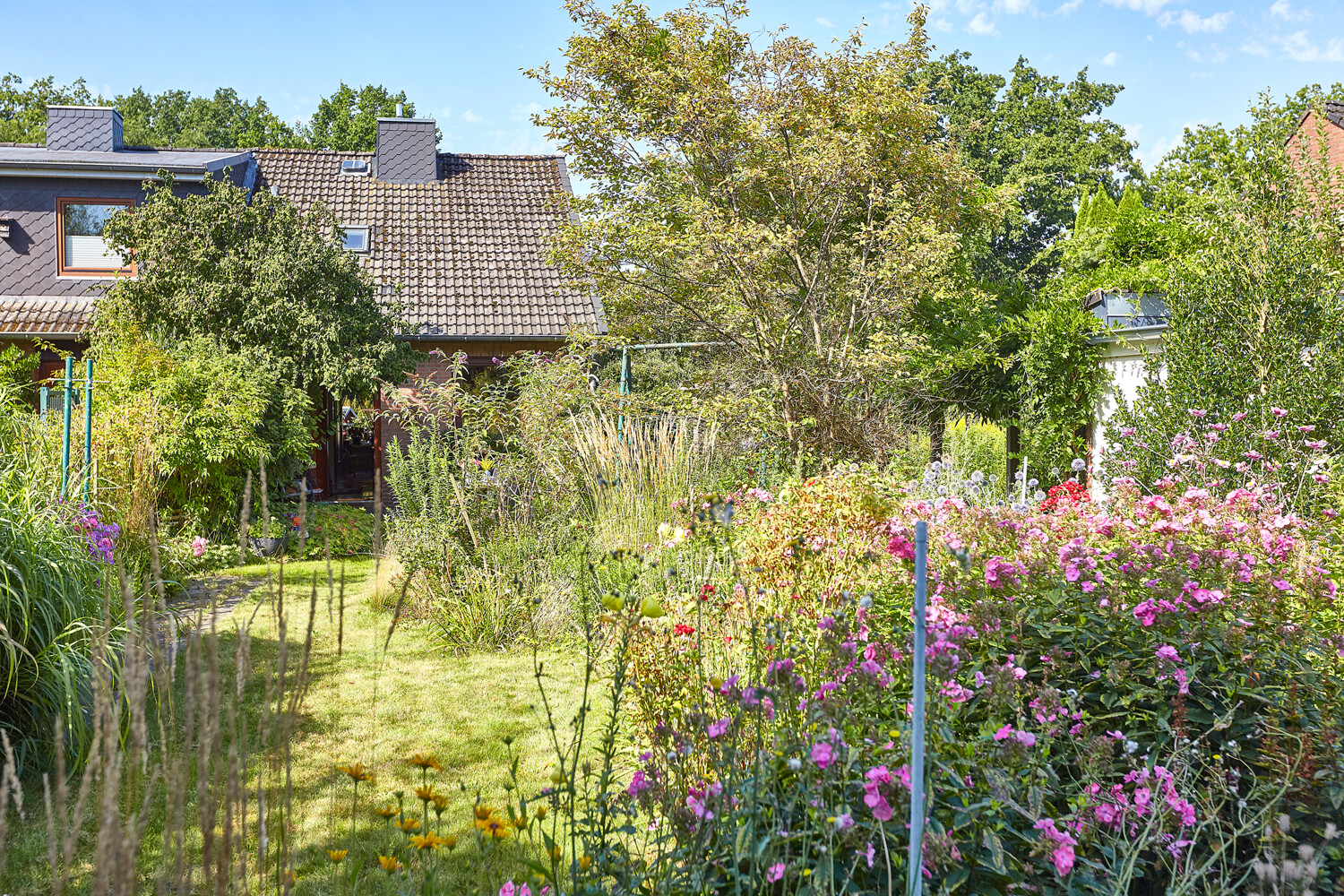 Naturnaher Garten hinter dem Haus