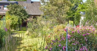 von_poll_real_estate_property_25197021_image_22