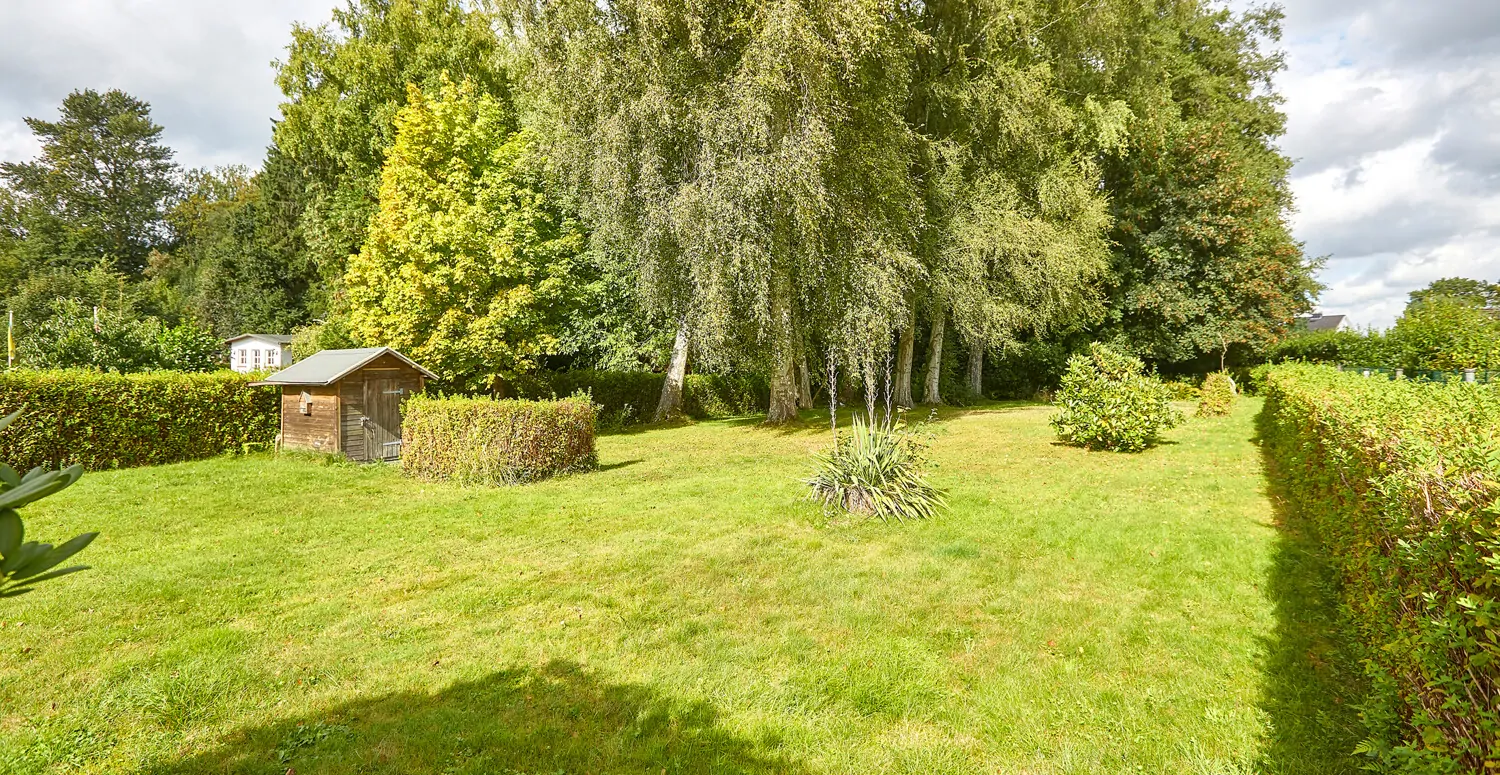 Birkenwäldchen und Gartenhaus