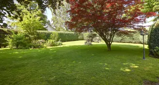 von_poll_real_estate_property_24197035_image_15