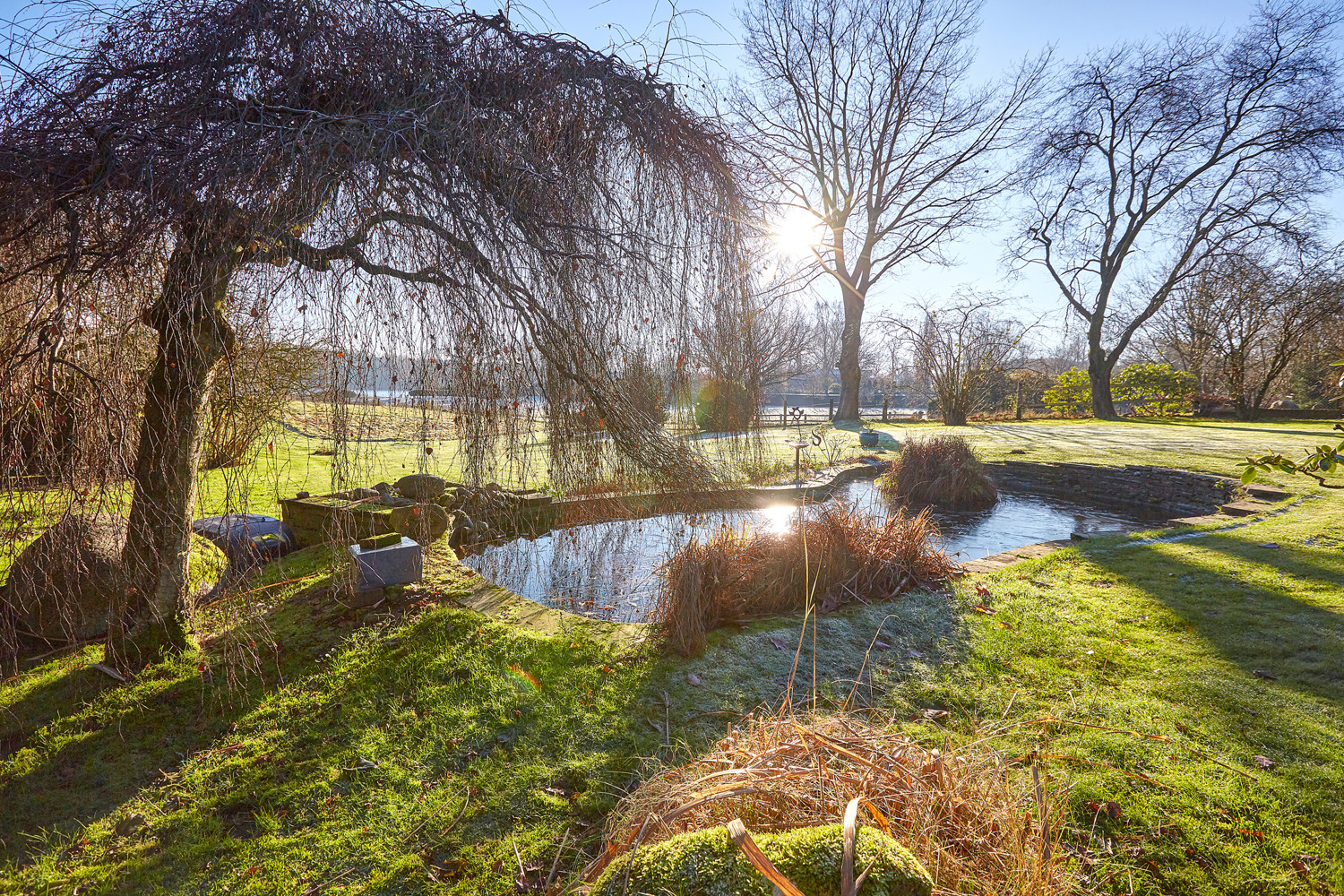 Bereich um den Gartenteich