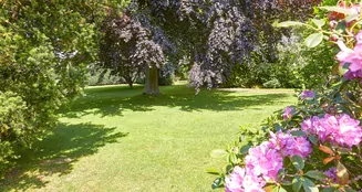 von_poll_real_estate_property_24197035_image_14