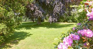 von_poll_real_estate_property_24197035_image_14