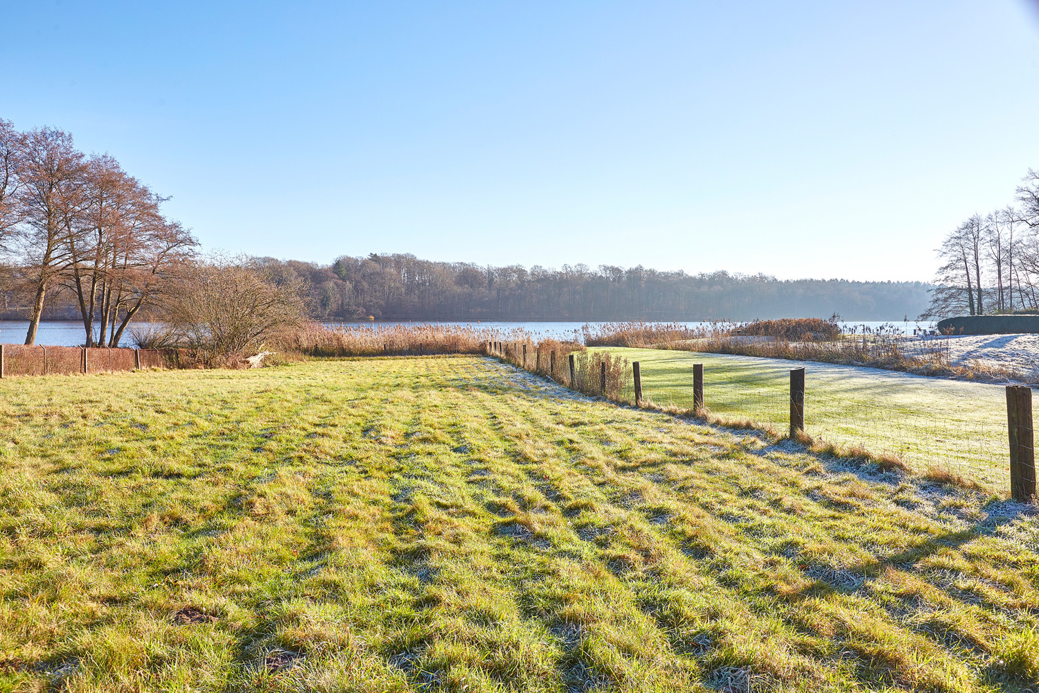 Wildwiese bis zum Schilfufer