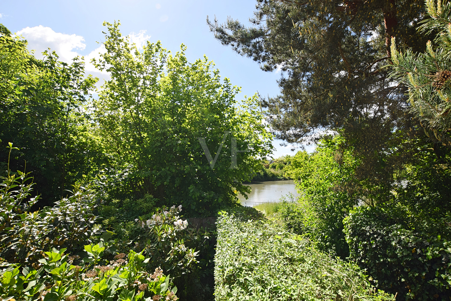 BLICK VOM GARTEN