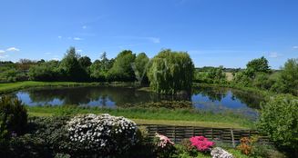 von_poll_real_estate_property_25123031_image_16