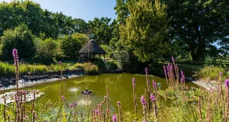 von_poll_real_estate_property_25123035_image_5