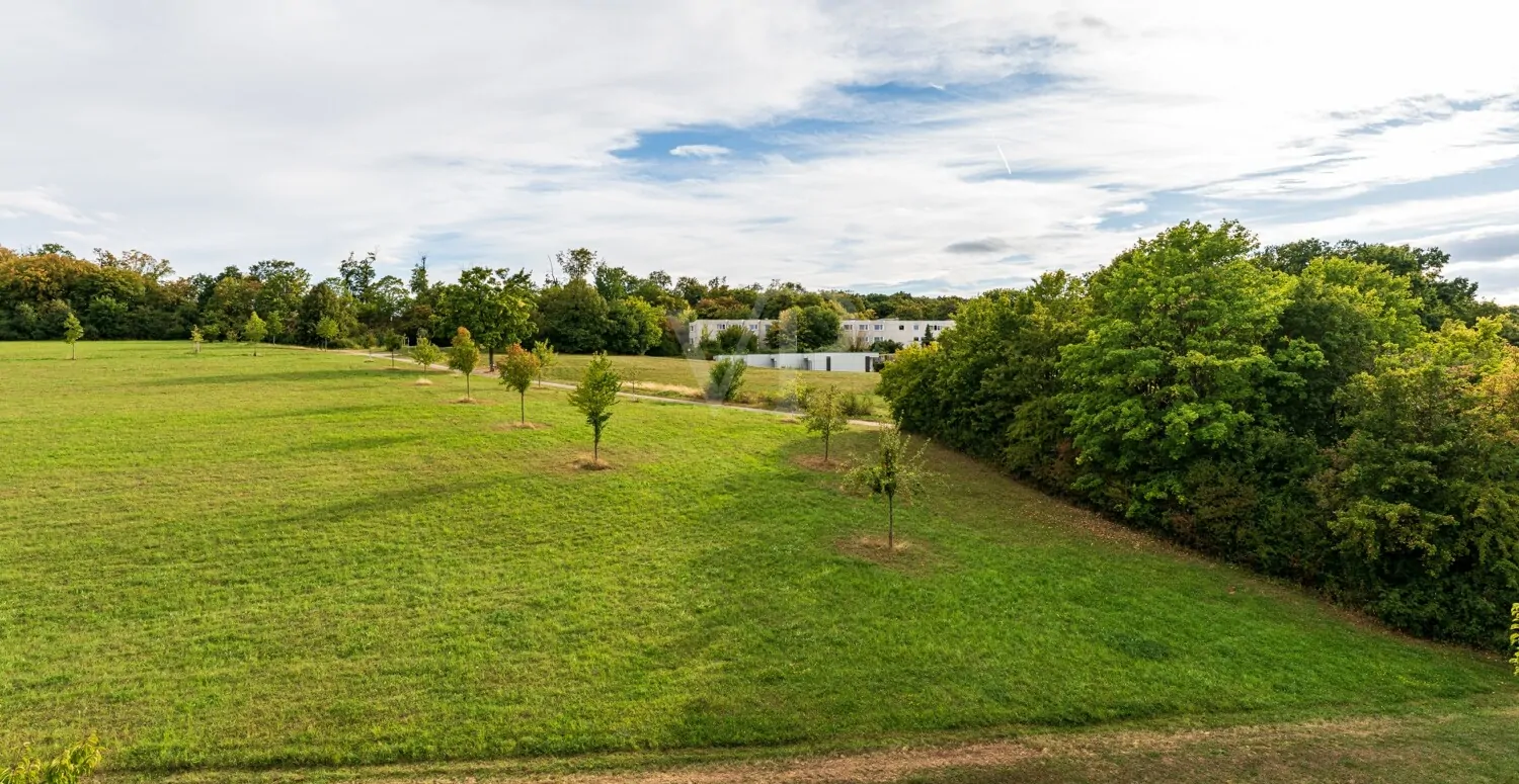 BLICK AUF DEN KLIVERSBERG