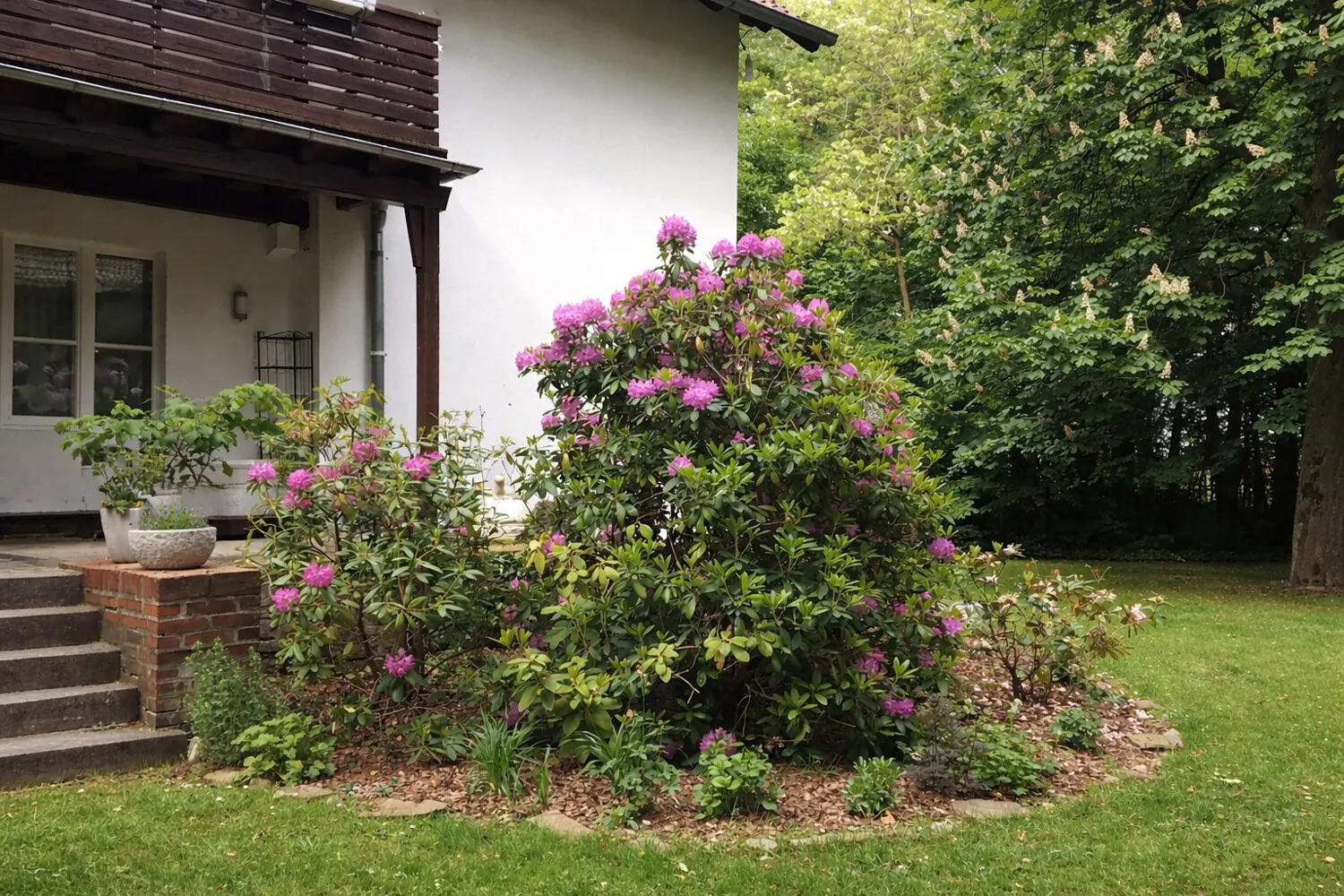 BEPFLANZUNG | TERRASSE