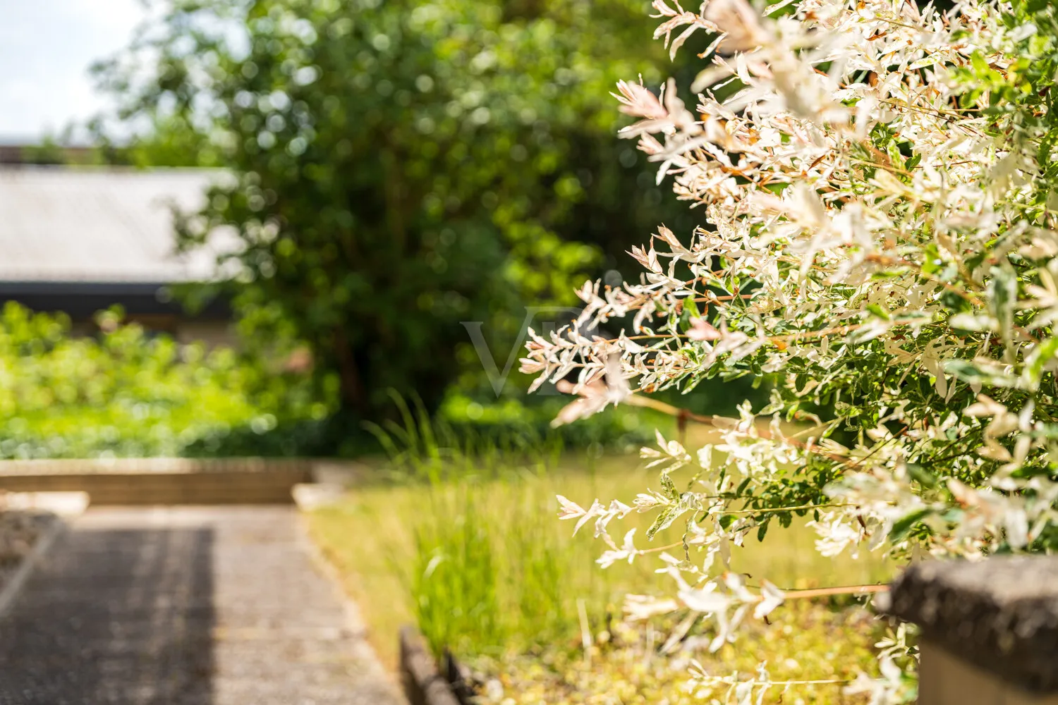 GARTEN