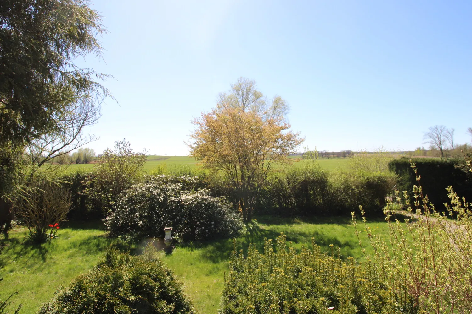 BLICK IN DIE FLUR