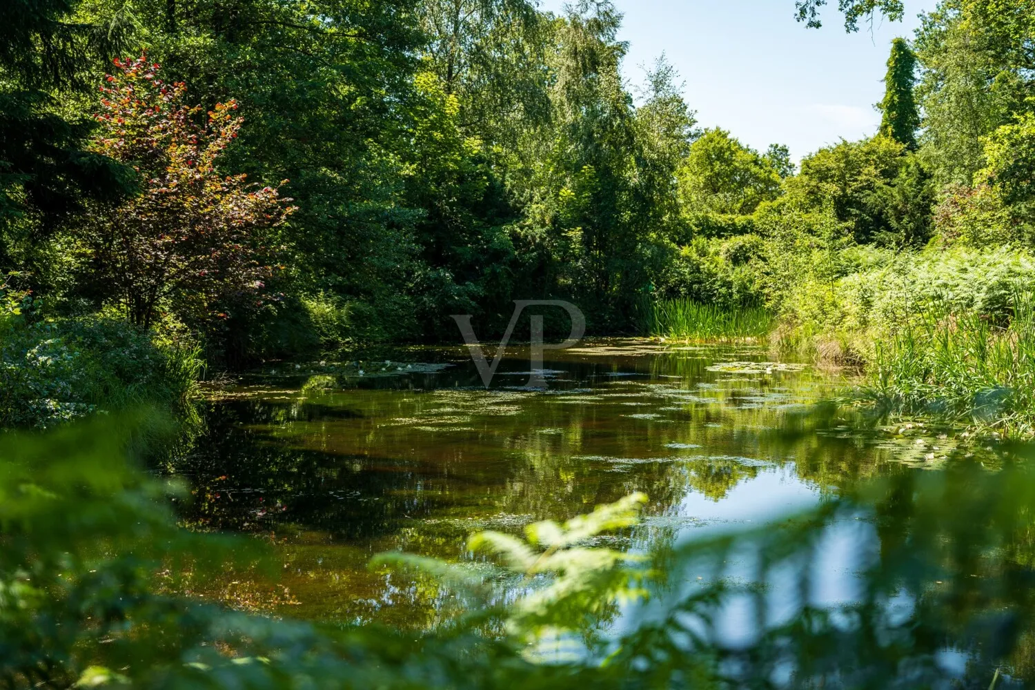 TEICH