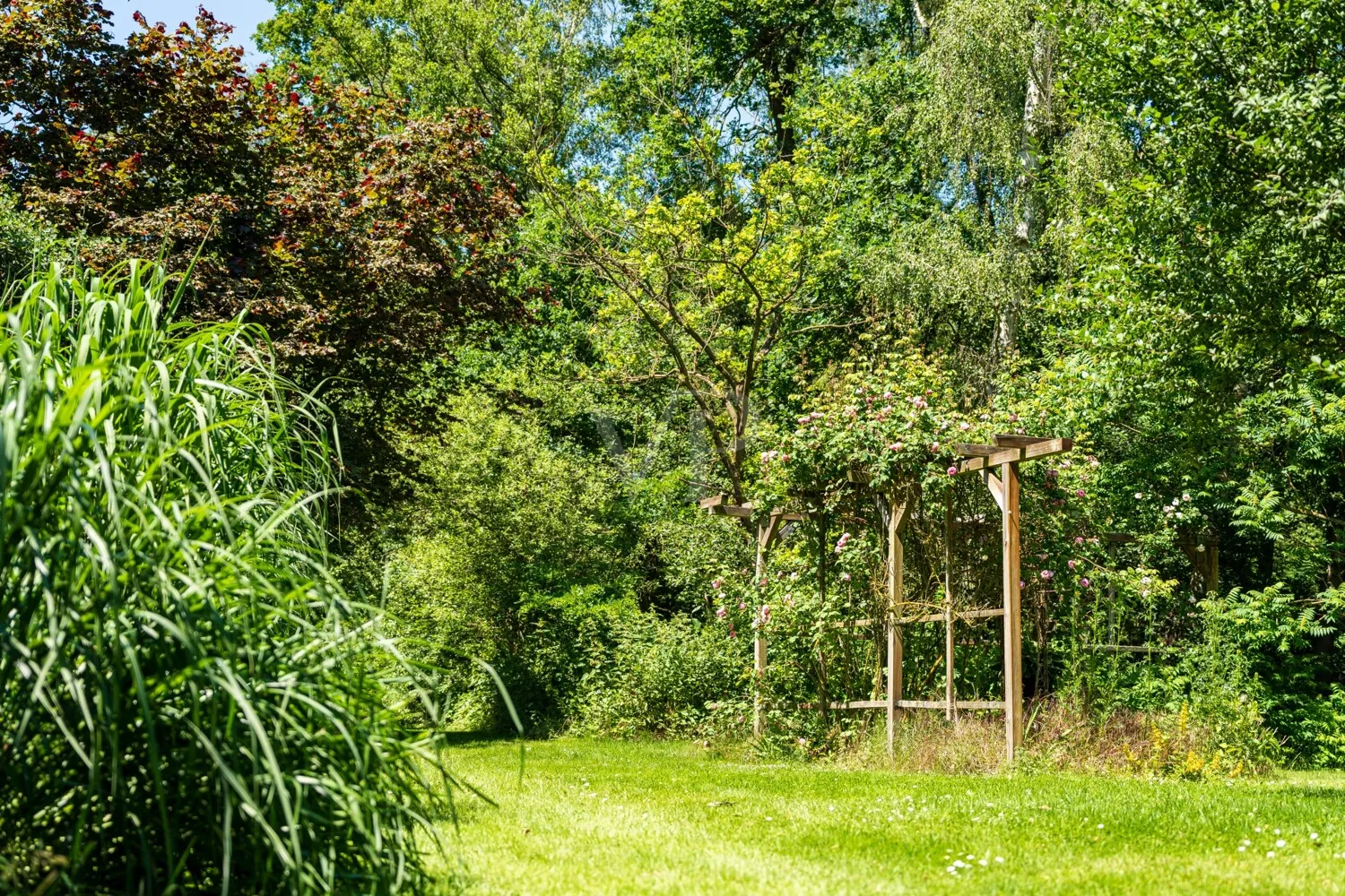 PERGOLA