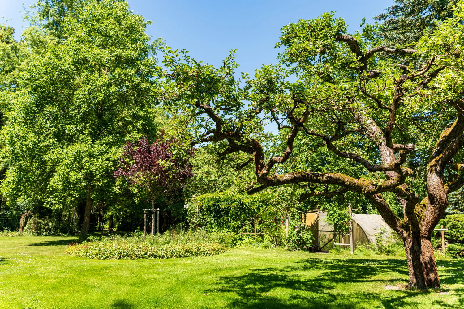 GARTEN