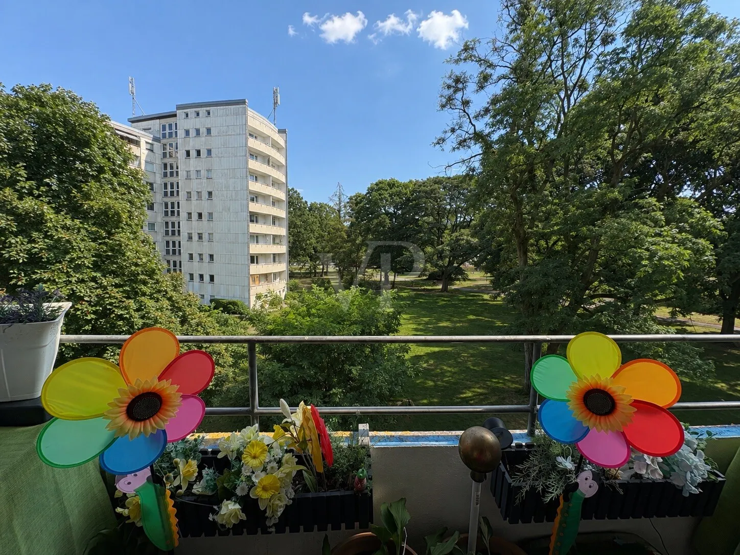 BLICK | BALKON
